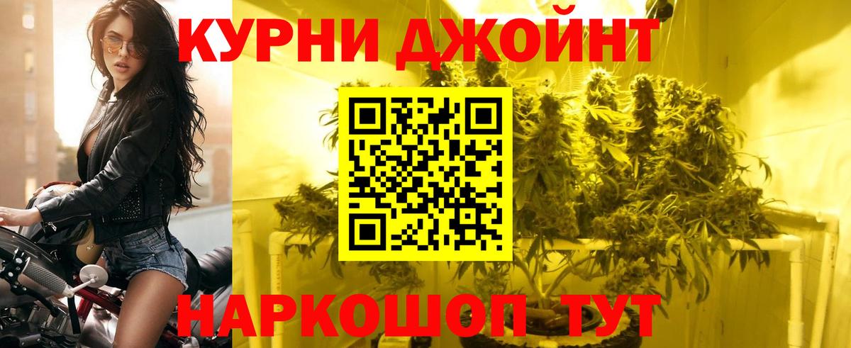 Конопля THC 21%  Вход с VPN  Шишки марихуана конопля  Лениногорск  Бошки марихуана планчик 